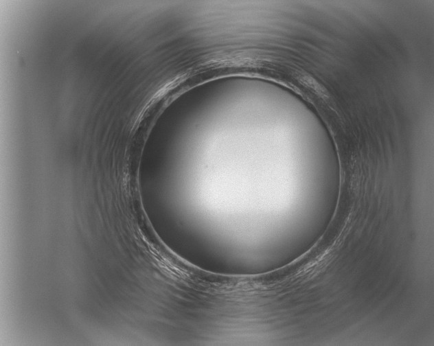 X0000057060922200510010103