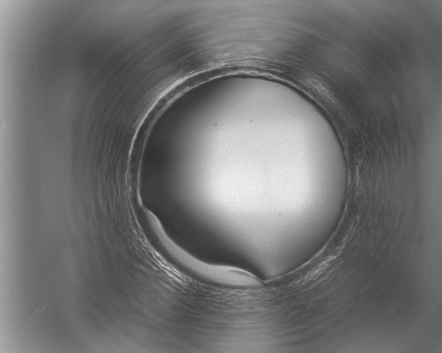 X0000057060924200510010103