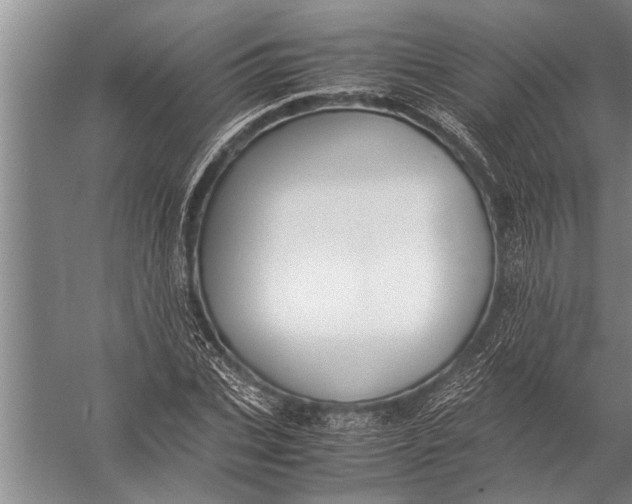 X0000057060927200510010103