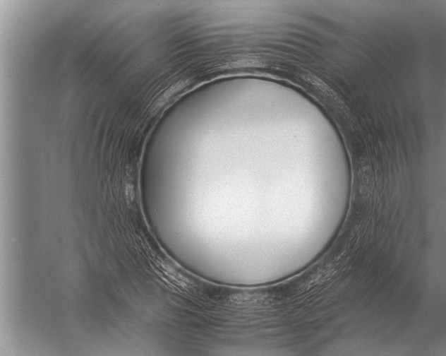 X0000057060929200510010103