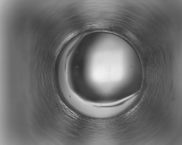 X0000057060930200510010103