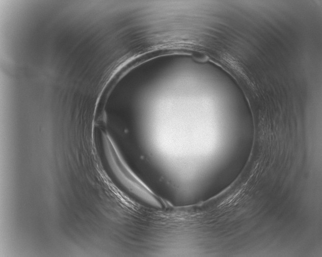 X0000057060932200510010103