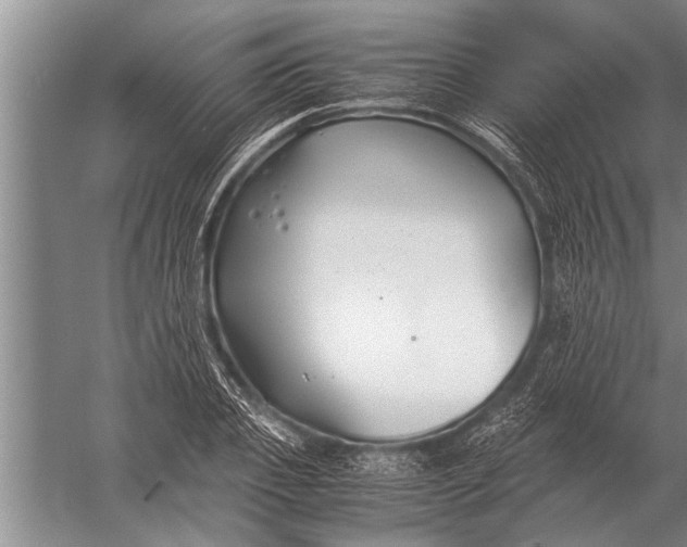 X0000057060933200510010103