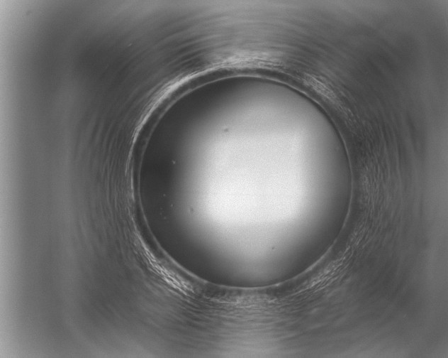 X0000057060934200510010103