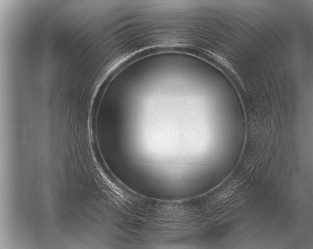 X0000057060935200510010103