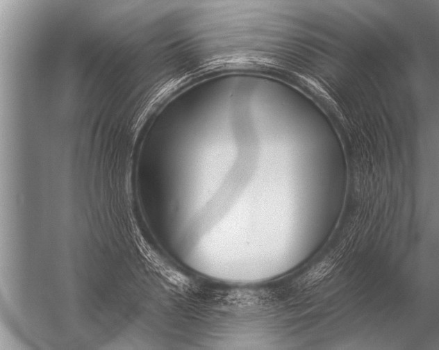 X0000057060938200510010103