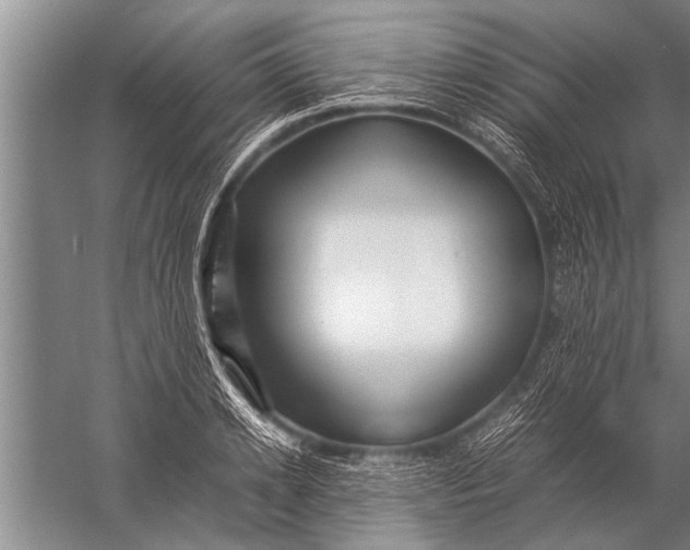 X0000057060942200510010104