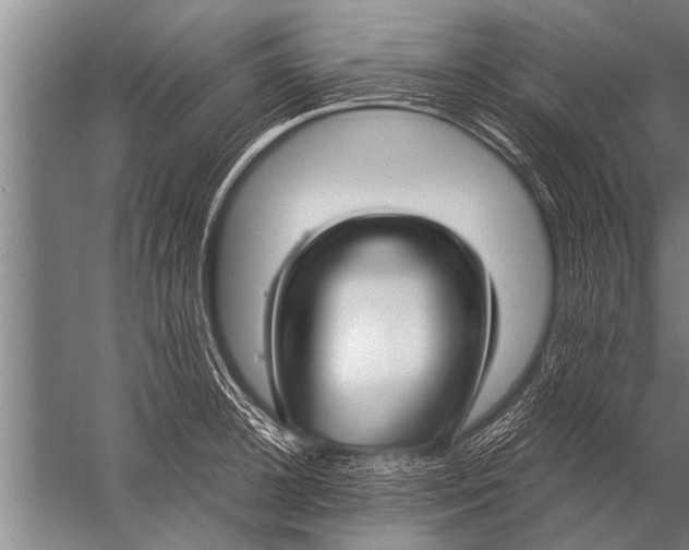 X0000057060948200510010104