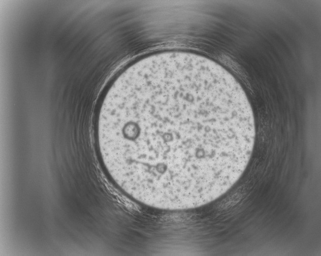 X0000057060950200510010104