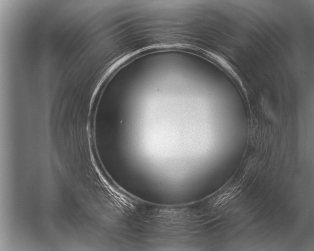 X0000057060951200510010104