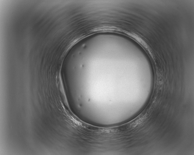 X0000057060953200510010104