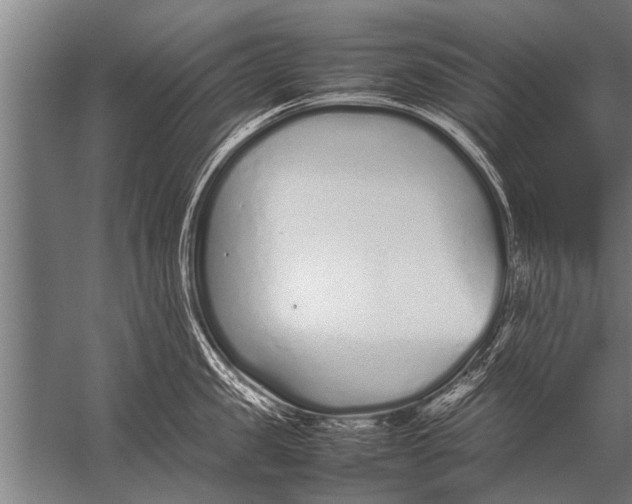 X0000057060957200510010104