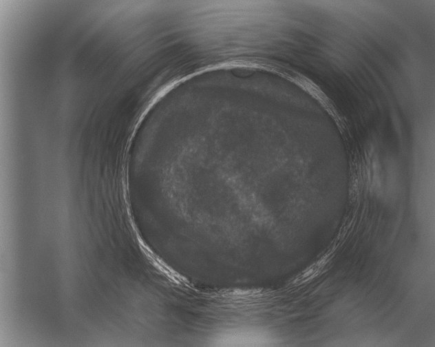 X0000057060958200510010104