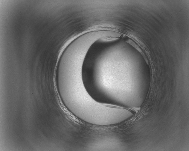 X0000057060960200510010104