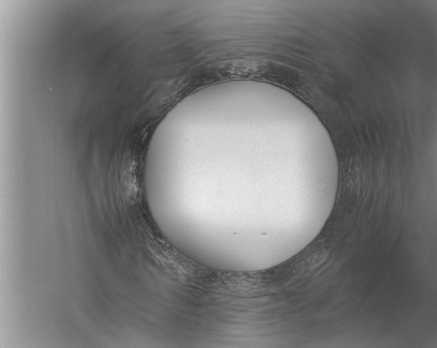 X0000057060962200510010103