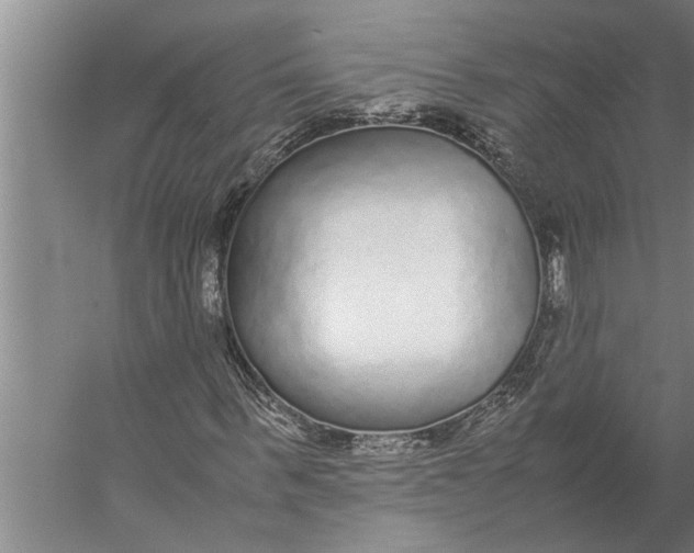 X0000057060963200510010103