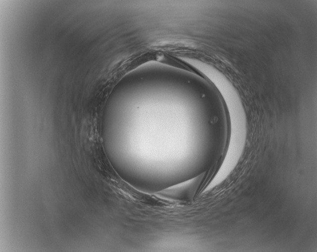 X0000057060965200510010103