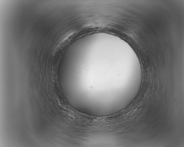 X0000057060967200510010103