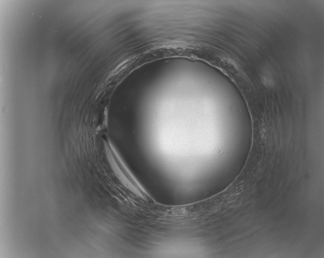 X0000057060968200510010103