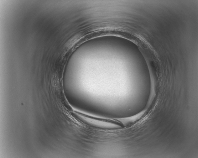 X0000057060969200510010103