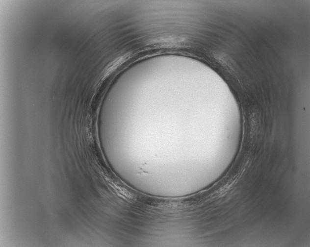 X0000057060970200510010103