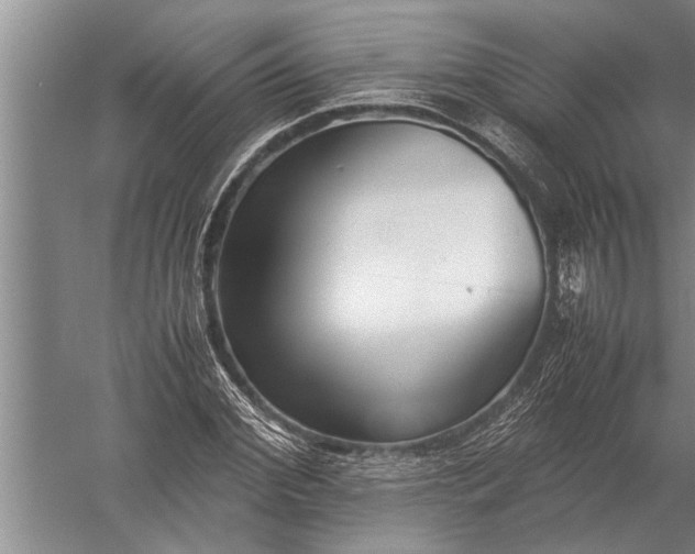 X0000057060972200510010103