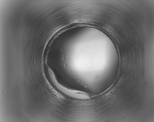 X0000057060976200510010103