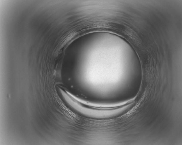 X0000057060977200510010103