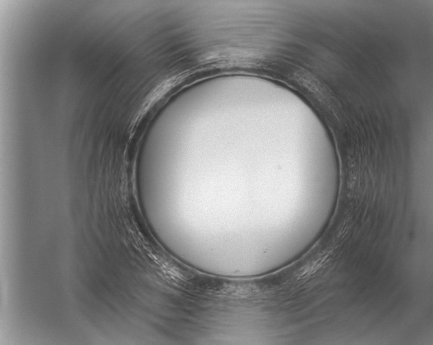 X0000057060978200510010103