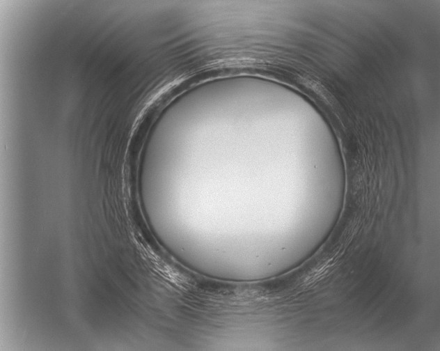 X0000057060979200510010103