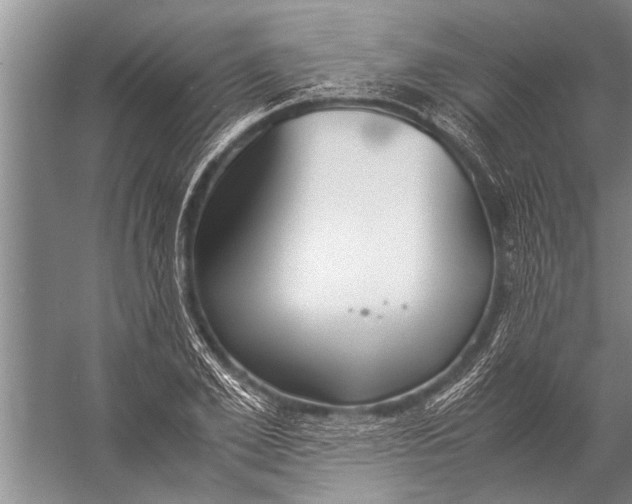 X0000057060981200510010103