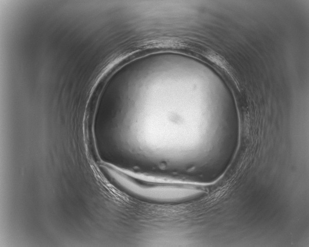 X0000057060983200510010103