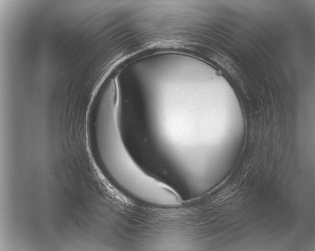 X0000057060984200510010103