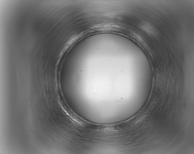 X0000057060986200510010103