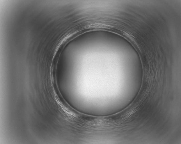 X0000057060987200510010103