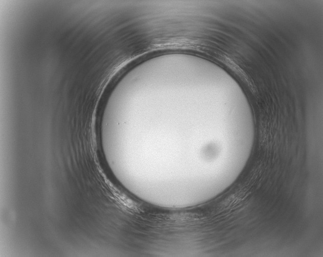 X0000057060988200510010103