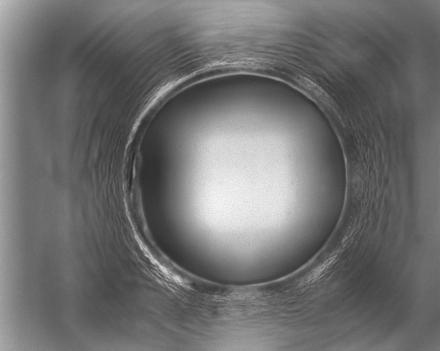 X0000057060989200510010103