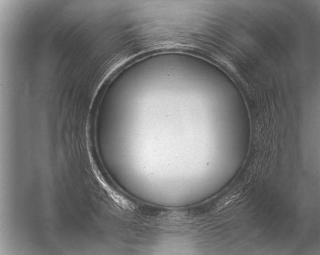 X0000057060991200510010102