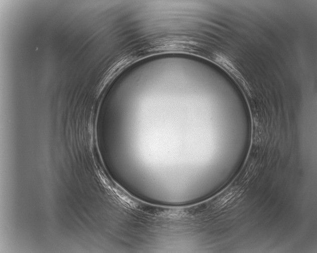 X0000057060994200510010102