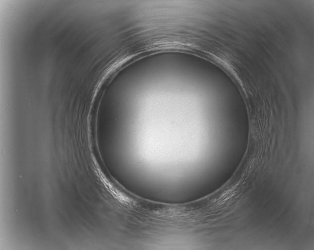 X0000057060995200510010102