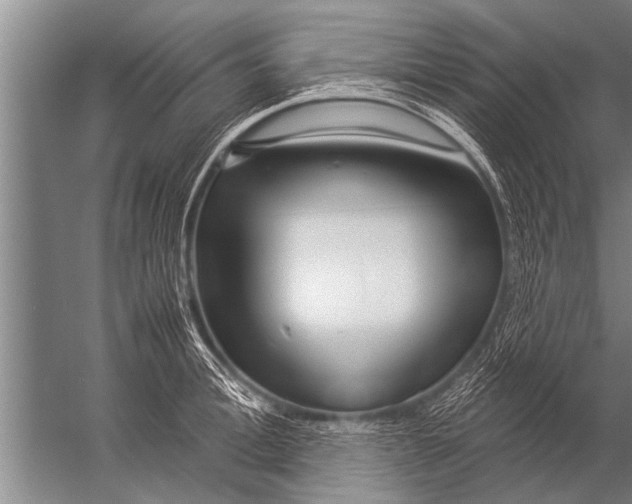 X0000057060996200510010102