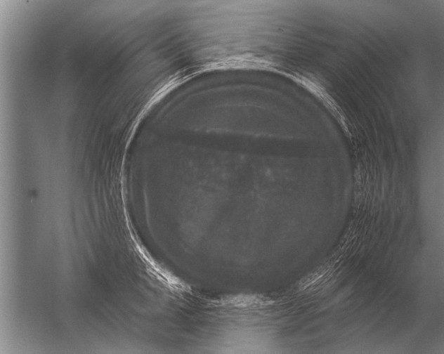 X0000057060998200510010102