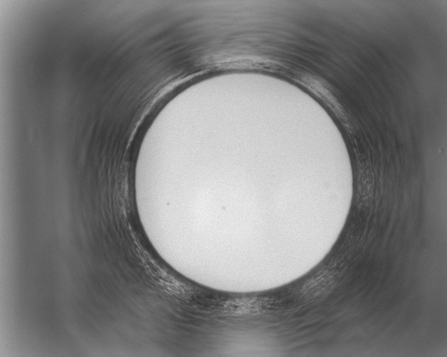 X0000057061000200510010102