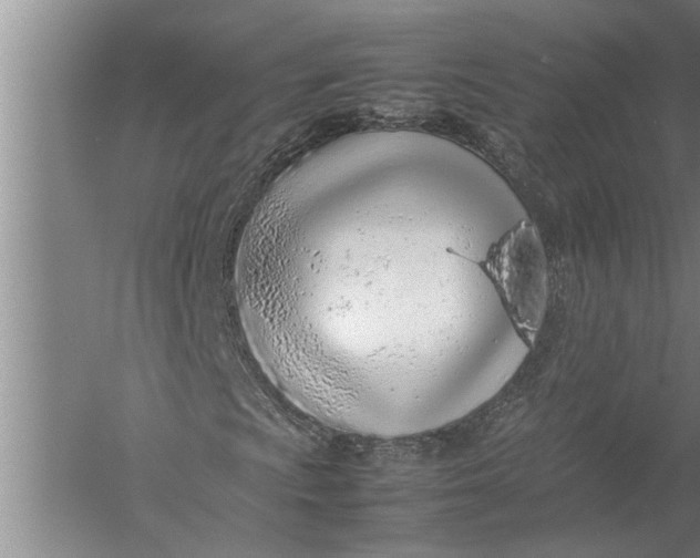 X0000057061009200510010101