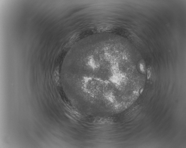 X0000057061011200510010101