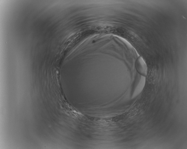 X0000057061013200510010101