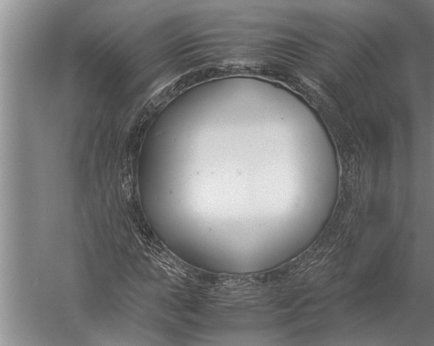 X0000057061015200510010101