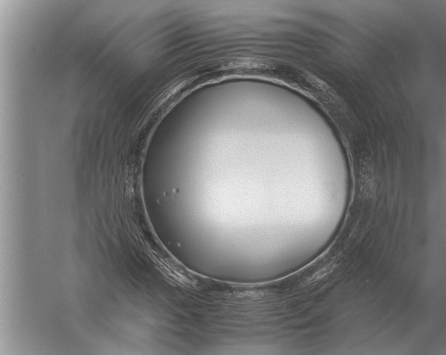 X0000057061017200510010102