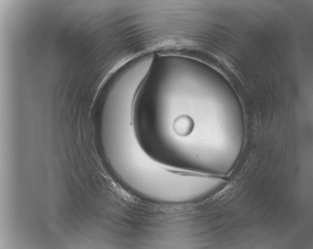 X0000057061018200510010102