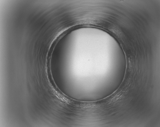 X0000057061020200510010102